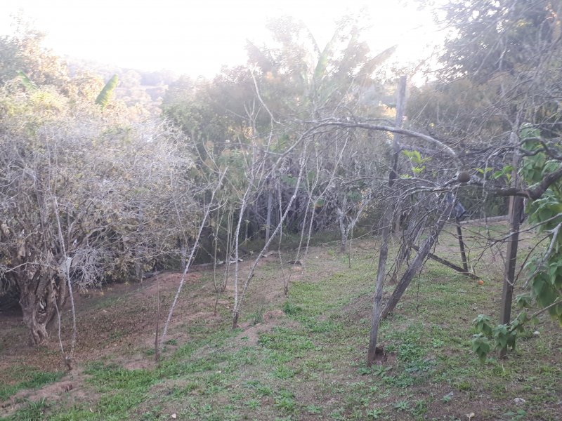Casa de condomínio à venda Vila Caiçara com 315m² e 3 quartos por R$ 700.000 - 89078850-20210821-165703.jpg