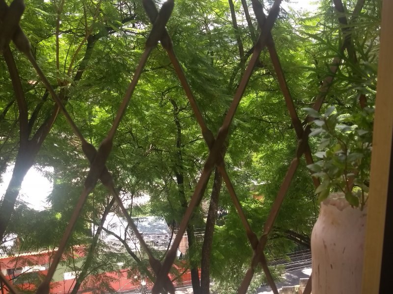 Apartamento à venda Nova Gameleira com 58m² e 2 quartos por R$ 190.000 - 181643106-img-20210122-112742221.jpg