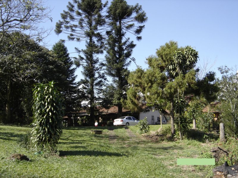 Sítio à venda Jardim Rio Douro com 59000m² e 4 quartos por R$ 3.500.000 - 1009227546-sitio-10-vista-fundo-casa-principal.jpg