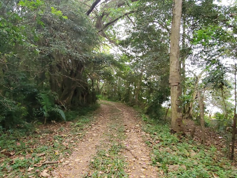Sítio à venda Jardim Rio Douro com 59000m² e 4 quartos por R$ 3.500.000 - 1233857482-20200815-090449.jpg