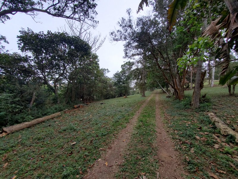 Sítio à venda Jardim Rio Douro com 59000m² e 4 quartos por R$ 3.500.000 - 1352697358-20200815-090415.jpg