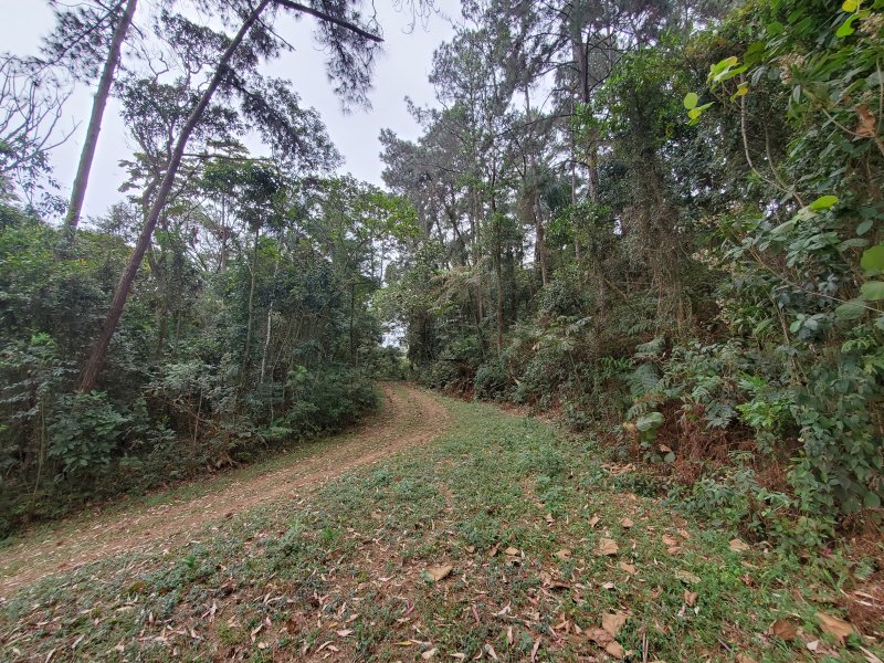 Sítio à venda Jardim Rio Douro com 59000m² e 4 quartos por R$ 3.500.000 - 194795344-20200815-090700.jpg