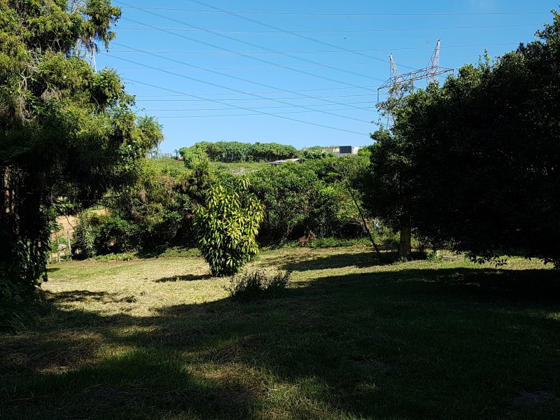 Sítio à venda Jardim Rio Douro com 59000m² e 4 quartos por R$ 3.500.000 - 225622865-sitio-11-vista-jardim-secundario.jpg