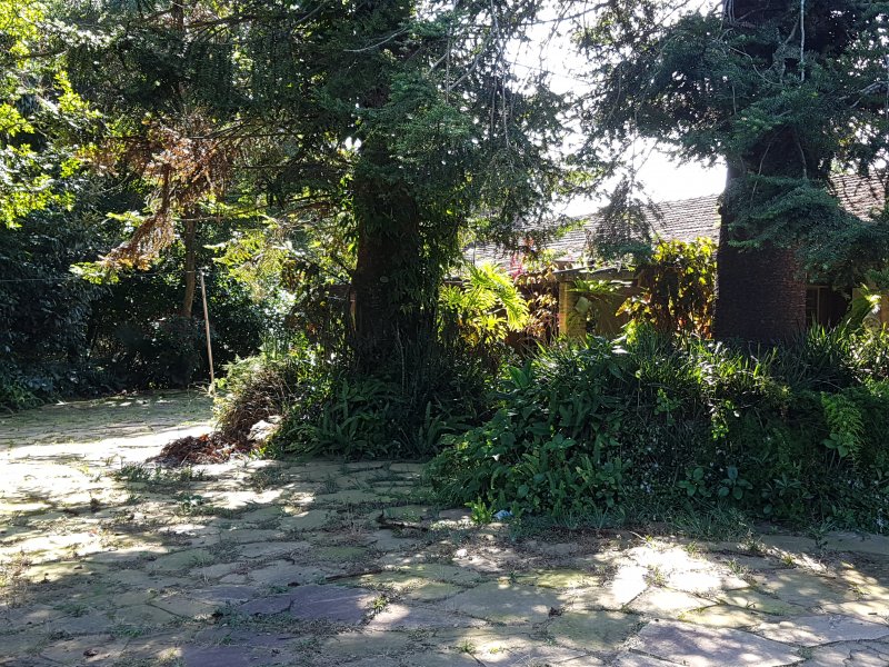 Sítio à venda Jardim Rio Douro com 59000m² e 4 quartos por R$ 3.500.000 - 651087699-20180324-092416.jpg