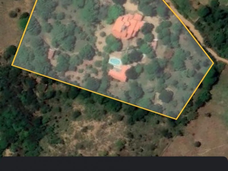 Sítio à venda Centro com 18000m² e 6 quartos por R$ 800.000 - 321049343-80012828-ba25-4a08-ae8e-ac7bd4fe6a24.jpeg