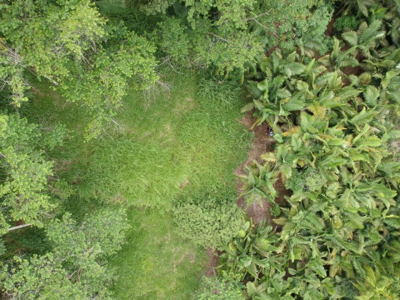 Terreno à venda Passo Manso com 8m² e 1 quarto por R$ 480.000 - 1617644839-9498aaa3-7c07-4957-be16-57870b725b97.jpg