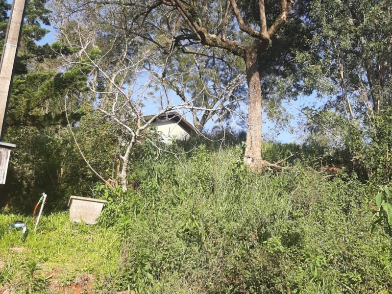 Terreno à venda Floresta com 300m² e 1 quarto por R$ 220.000 - 1373854599-screenshot-20210823-144902-whatsapp.jpg