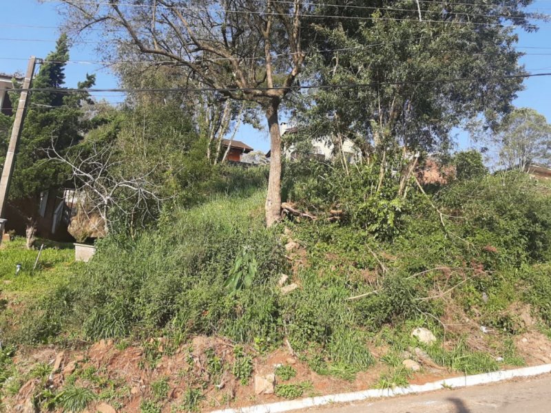 Terreno à venda Floresta com 300m² e 1 quarto por R$ 220.000 - 994228770-f3f2d612-7af9-41c4-89da-557818de0ee1.jpg