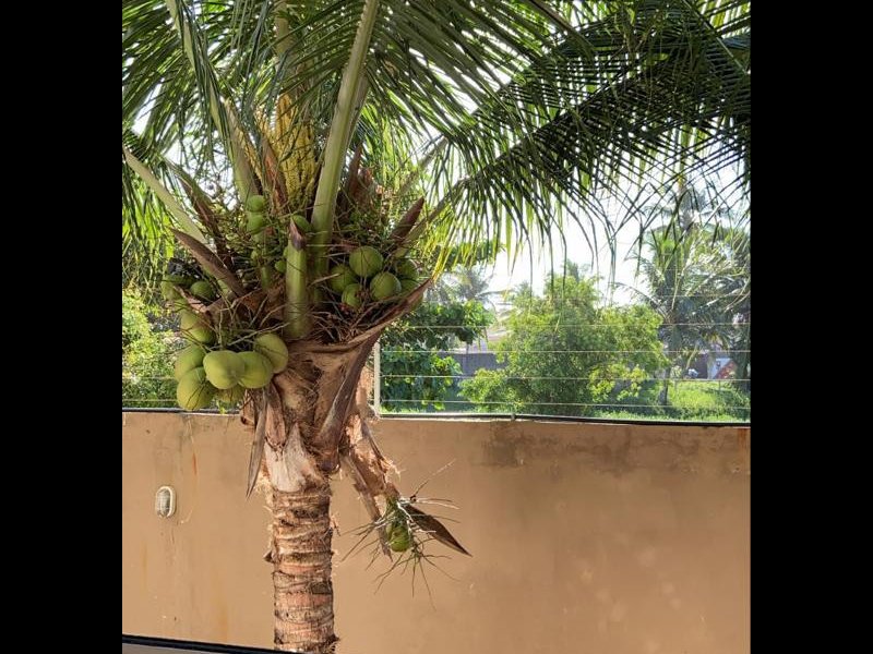 imóvel com 63m² - Ipitanga - Lauro de Freitas
