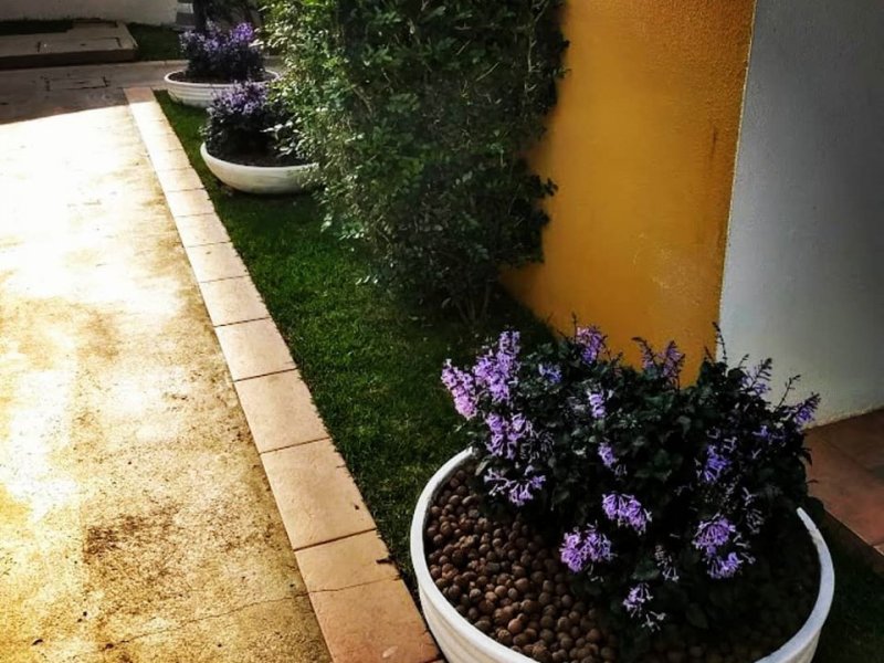 Apartamento à venda Jardim Dom Vieira com 60m² e 2 quartos por R$ 300.000 - 1174899045-area-comum-2-1.jpg