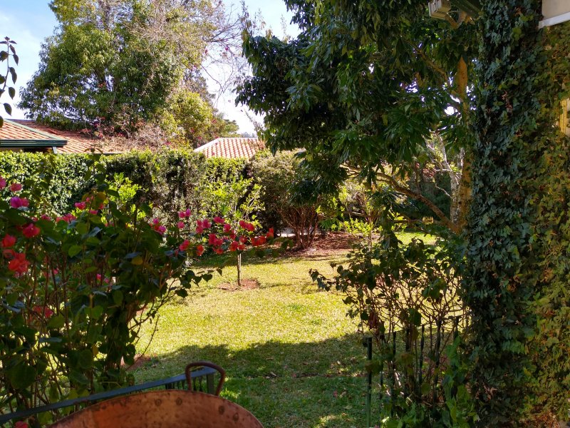 imóvel com 1800m² - Centro - Alambari