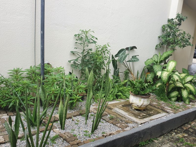 Apartamento à venda Dionísio Torres com 81m² e 3 quartos por R$ 350.000 - 52333397-20210505-134848.jpg