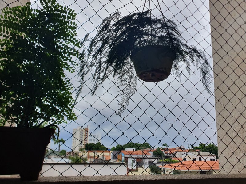 Apartamento à venda Dionísio Torres com 81m² e 3 quartos por R$ 350.000 - 600333628-20210505-135244.jpg