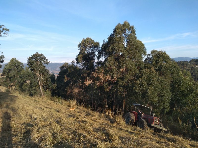 imóvel com 24200m² - Centro - Extrema