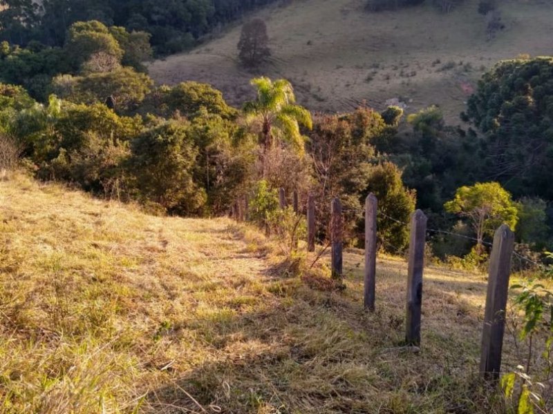 imóvel com 24200m² - Centro - Extrema