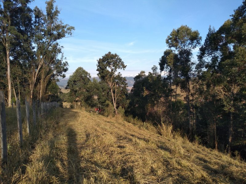 imóvel com 24200m² - Centro - Extrema