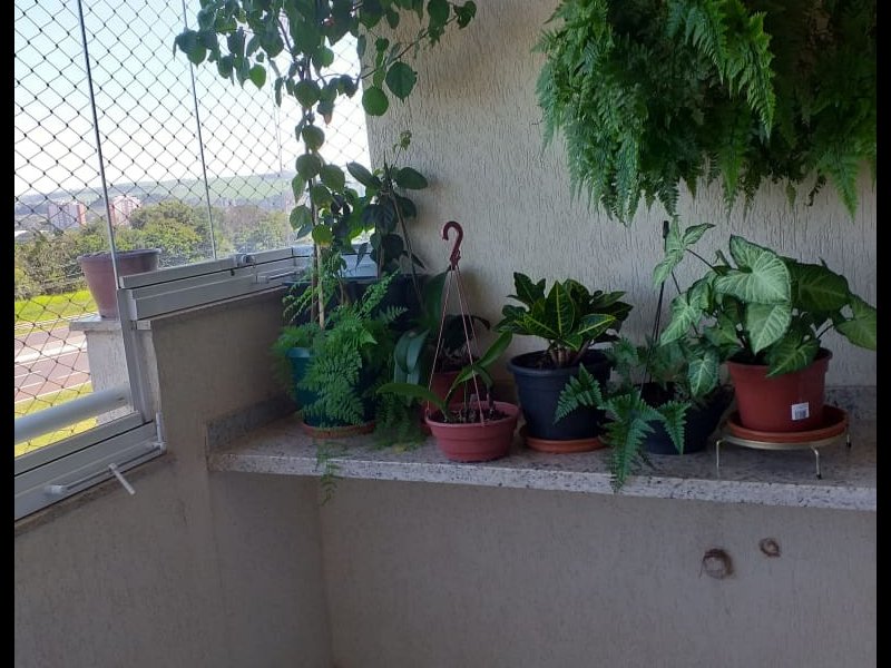 imóvel com 70m² - Nova Alianca - Ribeirão Preto