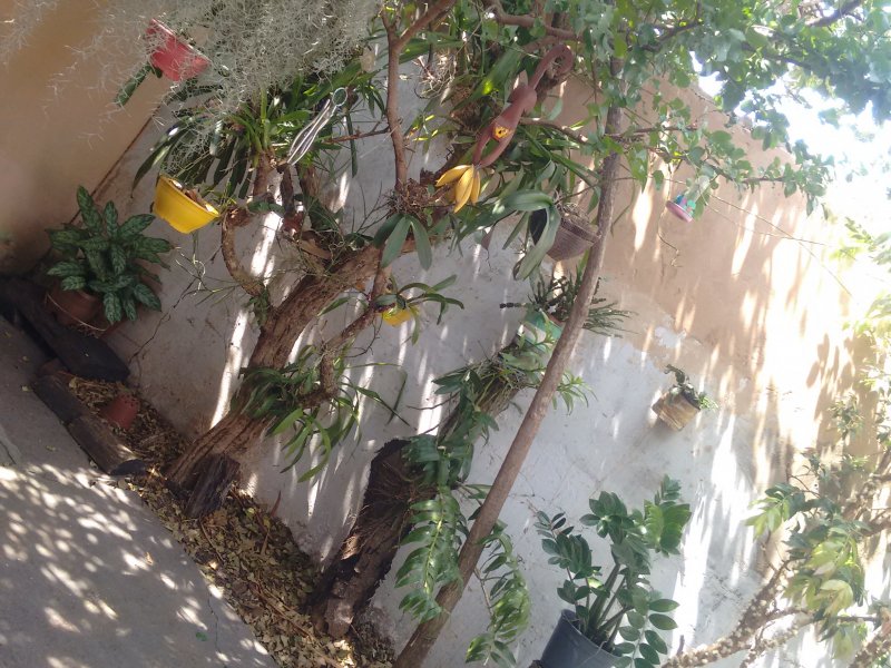 Casa à venda Parque Vista Alegre com 150m² e 3 quartos por R$ 2.800.000 - 1330470409-img-20210829-121738886.jpg