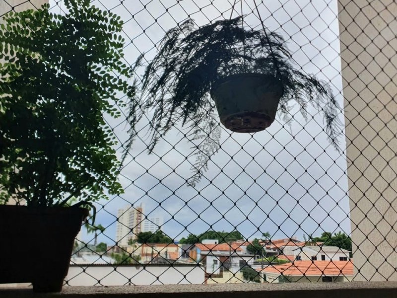 Apartamento à venda Dionísio Torres com 81m² e 3 quartos por R$ 350.000 - 532837387-whatsapp-image-2021-08-26-at-07.jpeg