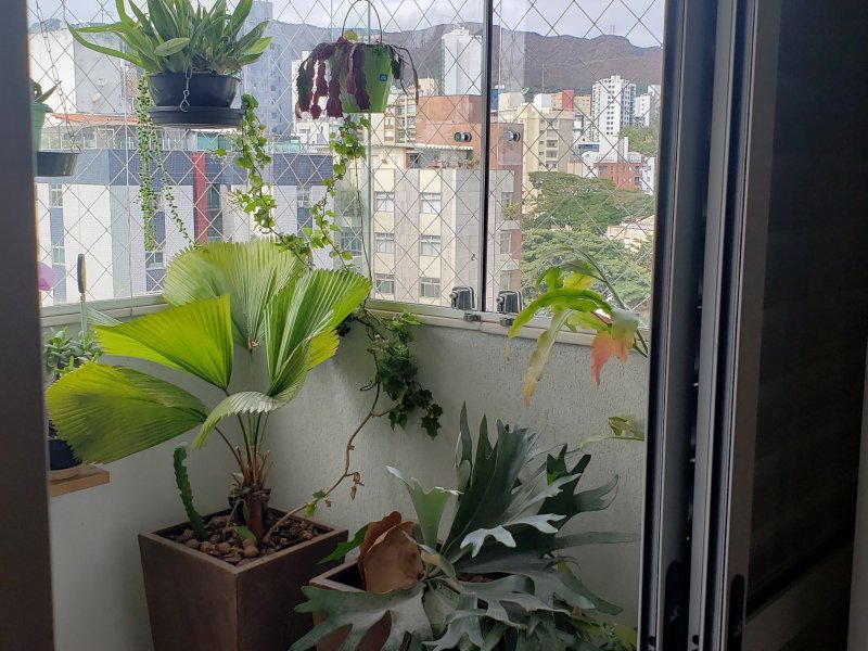 Apartamento à venda Funcionários com 104m² e 3 quartos por R$ 920.000 - 1151023095-20200630-110303.jpg