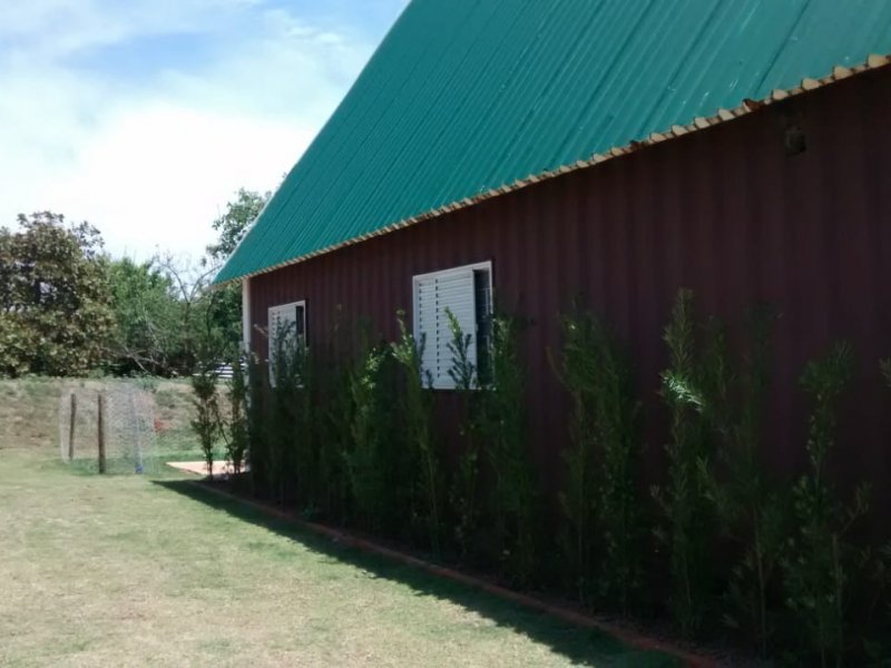 Chácara à venda Centro com 2502m² e 2 quartos por R$ 470.000 - 1546799508-visao-lateral-da-casa-com-podocarpos.jpg