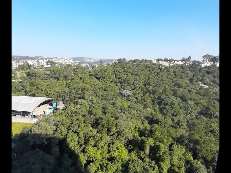 Apartamento para alugar Jardim Pedra Branca com 3492m² e 2 quartos por R$ 820 - 1261969758-522860c9-8c15-444d-a8d6-268229b240a6.jpg