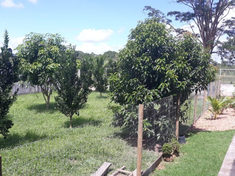 Casa à venda Centro com 1520m² e 3 quartos por R$ 1.200.000 - 822646661-img-20210818-wa0018.jpg