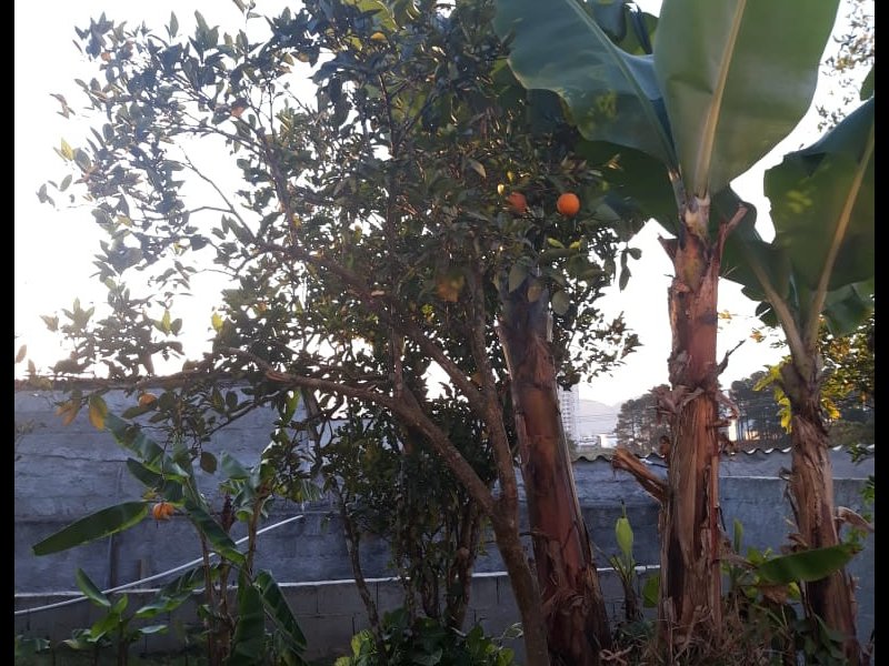 Casa à venda Alto Ipiranga com 320m² e 2 quartos por R$ 260.000 - 1296127561-foto-25.jpg