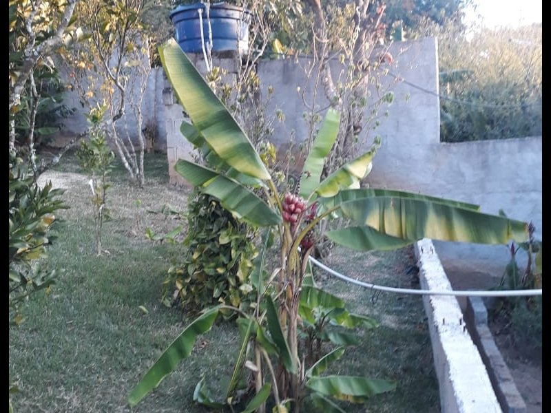 Casa à venda Alto Ipiranga com 320m² e 2 quartos por R$ 260.000 - 1916884466-foto-30.jpg