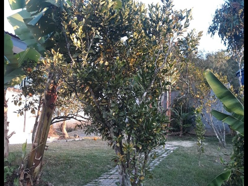 Casa à venda Alto Ipiranga com 320m² e 2 quartos por R$ 260.000 - 389125049-foto-36.jpg