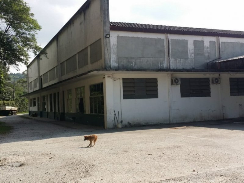 Comercial à venda Jardim Pirituba com 5140m² e 1 quarto por R$ 12.000.000 - 134824809-screenshot-20210712-235959-whatsapp.jpg