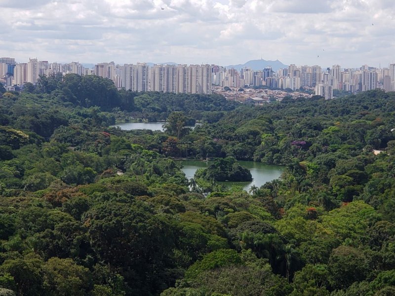 Apartamento à venda Jardim Celeste com 53m² e 2 quartos por R$ 360.000 - 2008591434-eb9dc32d-761f-4fd5-a661-74f6dac3a5a7.jpg