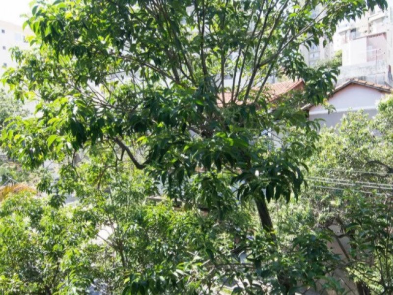 imóvel com 110m² - São Pedro - Belo Horizonte