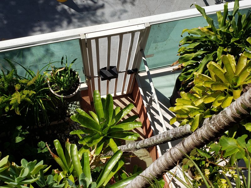 Casa à venda Passagem com 510m² e 5 quartos por R$ 1.000.000 - 1571549438-20210628-113426.jpg