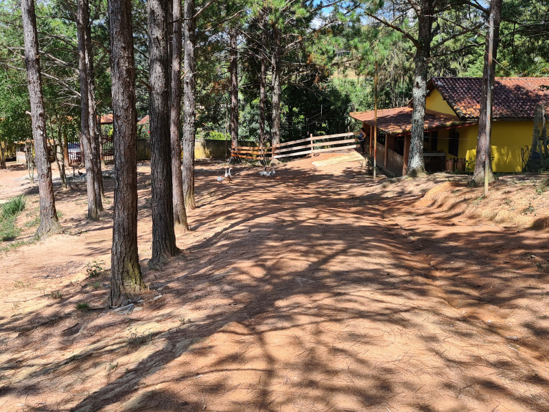 imóvel com 27900m² - Centro - Atibaia