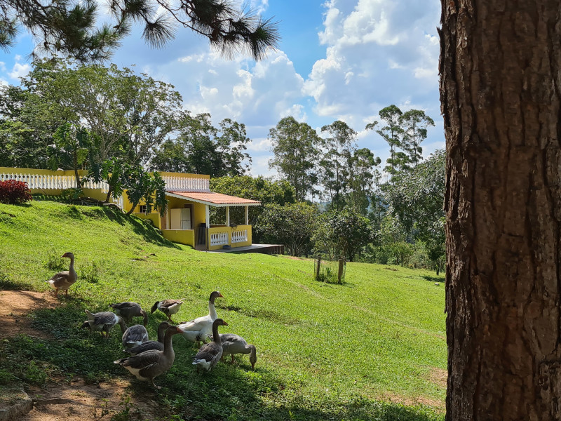 imóvel com 27900m² - Centro - Atibaia