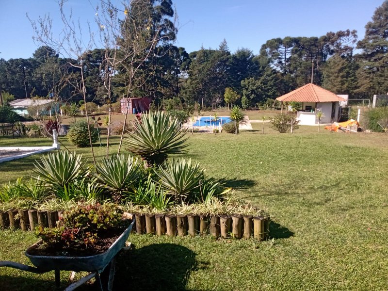 Chácara à venda Centro com 40000m² e 5 quartos por R$ 600.000 - 1493218745-img-20210901-wa0046.jpg