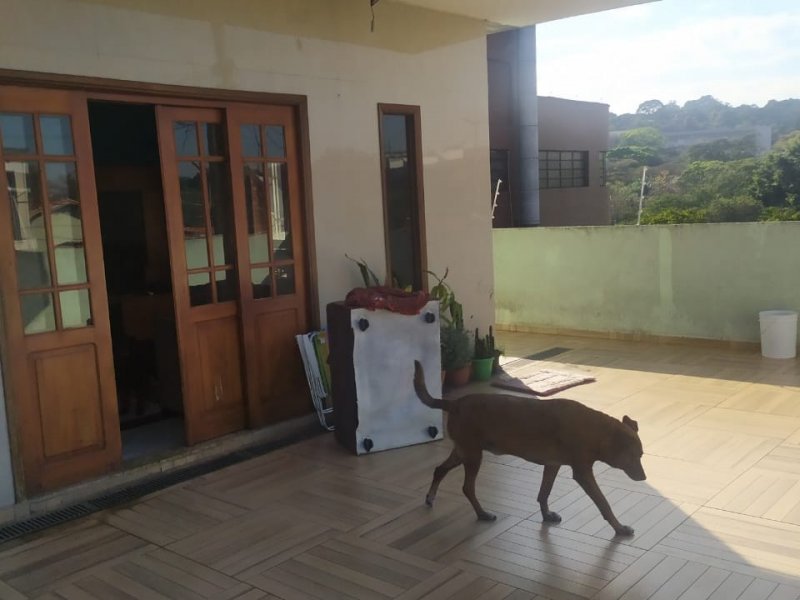 Casa à venda Cidade Vargas com 329m² e 3 quartos por R$ 1.100.000 - 257534379-whatsapp-image-2021-09-06-at-19.jpeg