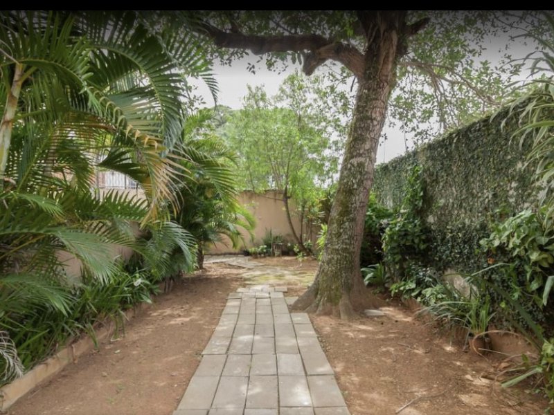 Apartamento à venda Jardim Petrópolis com 65m² e 2 quartos por R$ 450.000 - 944971273-5ce1638d-25d5-43b5-99c4-1975e289a0e5.jpeg