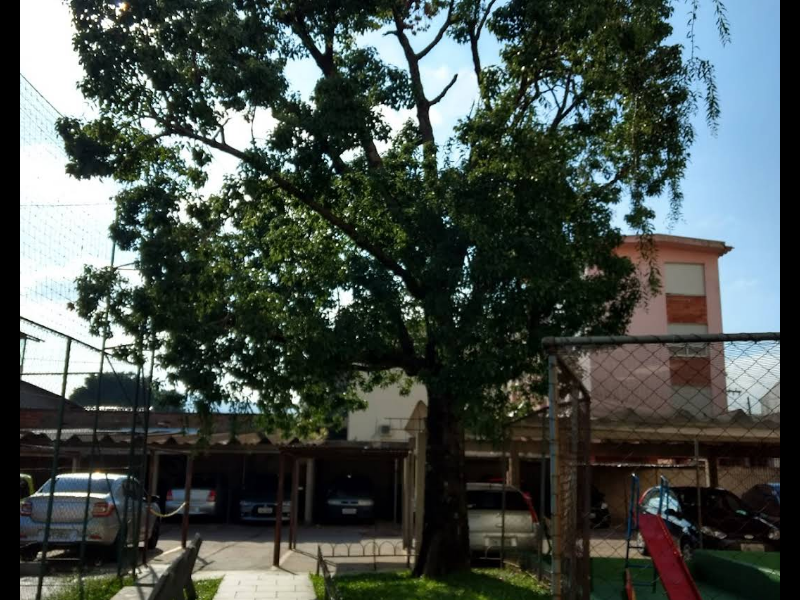imóvel com 62m² - Partenon - Porto Alegre