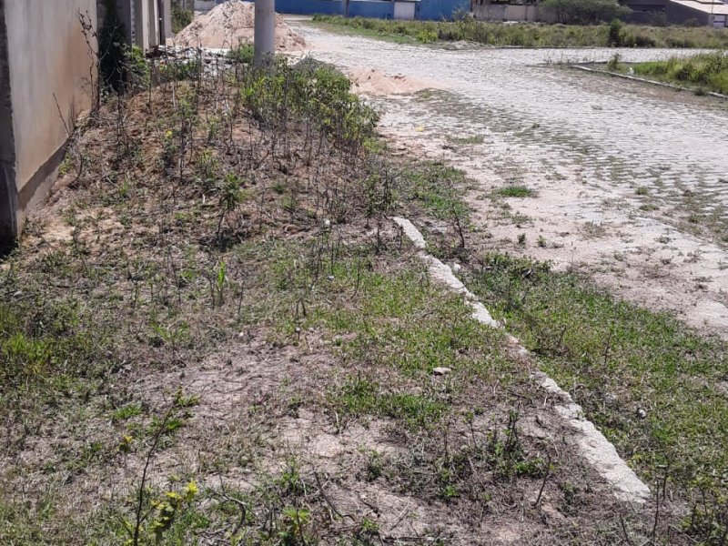Terreno à venda Parque Tropical com 110m² e 1 quarto por R$ 35.000.000 - 1124336046-50a27b80-3180-4c6c-9b12-6fe3bfcac489.jpg