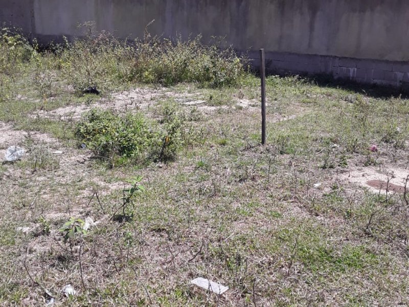 Terreno à venda Parque Tropical com 110m² e 1 quarto por R$ 35.000.000 - 1510190997-a0377001-e057-43bb-bc38-7a7eafa7bfde.jpg