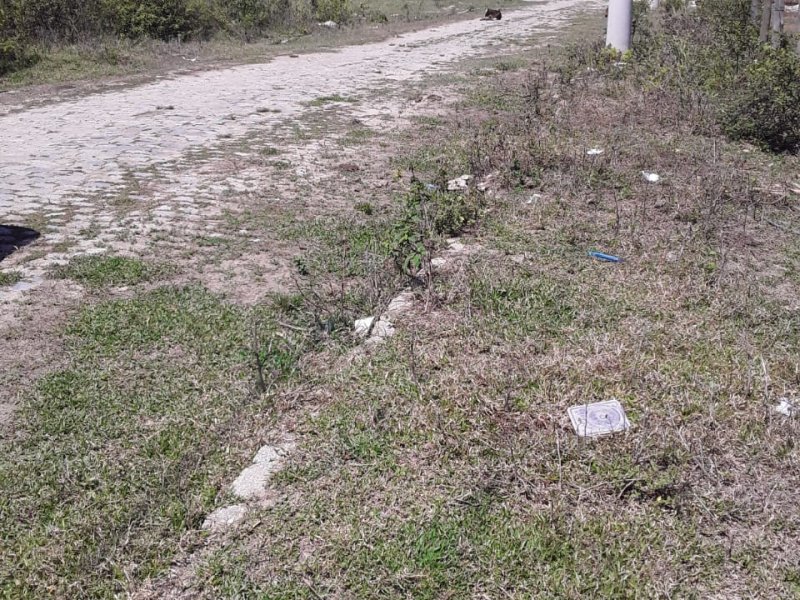 Terreno à venda Parque Tropical com 110m² e 1 quarto por R$ 35.000.000 - 1512576915-c6834779-8751-4fcf-a68e-183a58e999aa.jpg