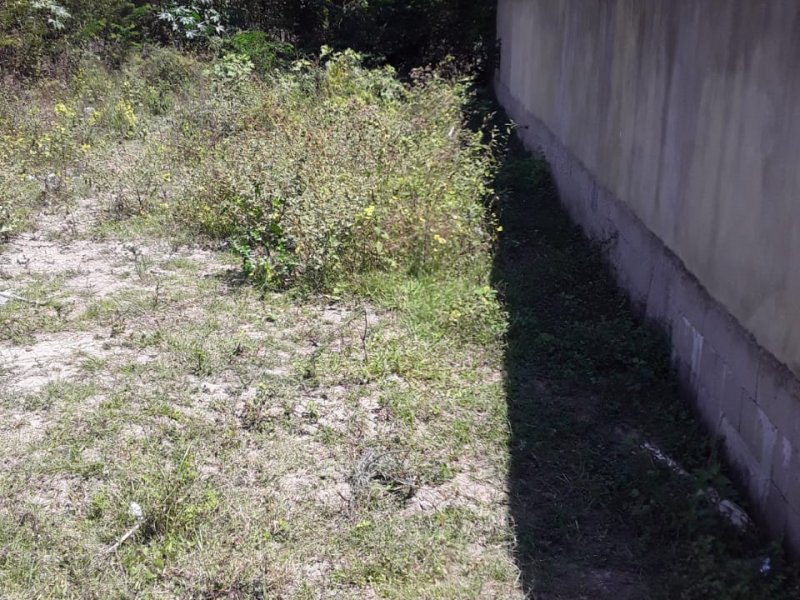 Terreno à venda Parque Tropical com 110m² e 1 quarto por R$ 35.000.000 - 1866809083-991860e6-d0bf-4cfa-841e-501dcc6e374d.jpg