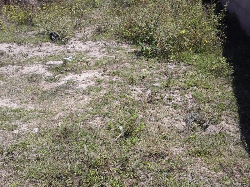 Terreno à venda Parque Tropical com 110m² e 1 quarto por R$ 35.000.000 - 472674456-3aa3fbc9-6128-4df2-8b3a-b3449177d747.jpg