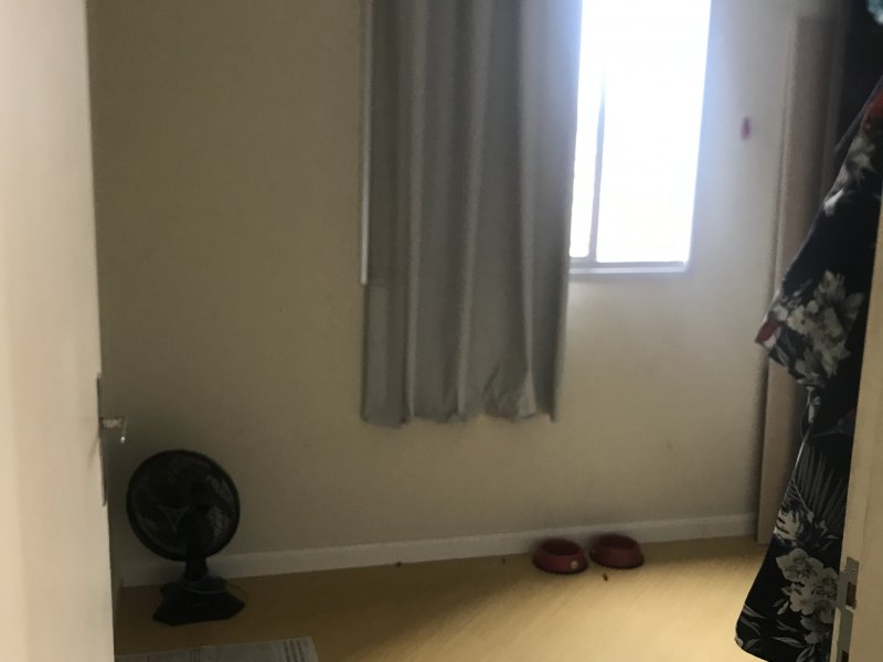 Apartamento à venda Rio Pequeno com 45m² e 2 quartos por R$ 270.000 - 1605231246-f51a29d0-19e9-4190-810c-c5f3a0a220ac.jpeg