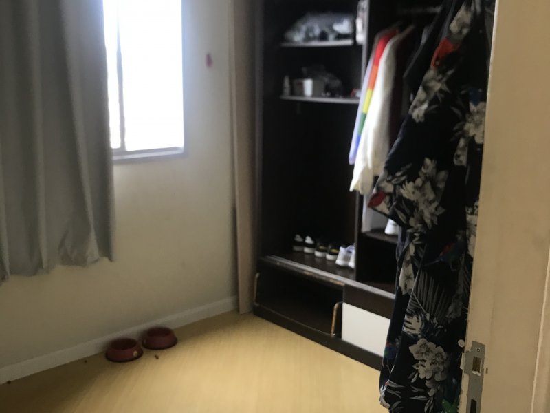 Apartamento à venda Rio Pequeno com 45m² e 2 quartos por R$ 270.000 - 992553829-944a0229-4f9b-4c4f-ad35-8dc8eff30a2a.jpeg