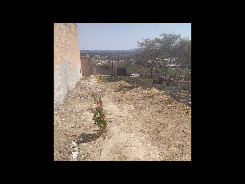 Terreno à venda Tropical com 1183m² e 1 quarto por R$ 340.000 - 116356016-lote-tropical-15.jpg