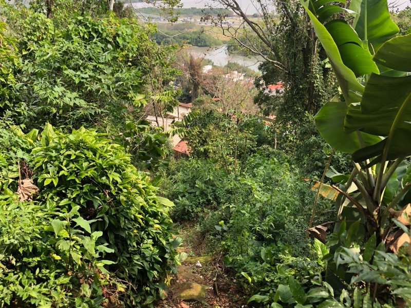 Terreno à venda Costeira do Pirajubaé com 12000m² e 1 quarto por R$ 300.000 - 1086663316-img-20210827-wa0071.jpg