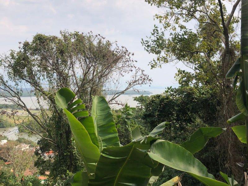 Terreno à venda Costeira do Pirajubaé com 12000m² e 1 quarto por R$ 300.000 - 1738313320-img-20210827-wa0062.jpg